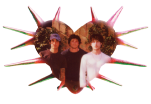 Wallows